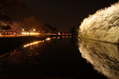 喜びの桜