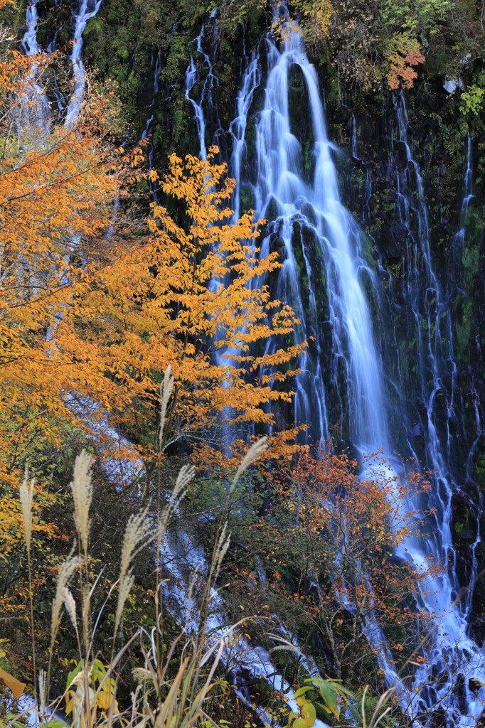 布引滝-2015autumn-