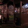 夜のかくれんぼ