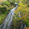 天に向かう