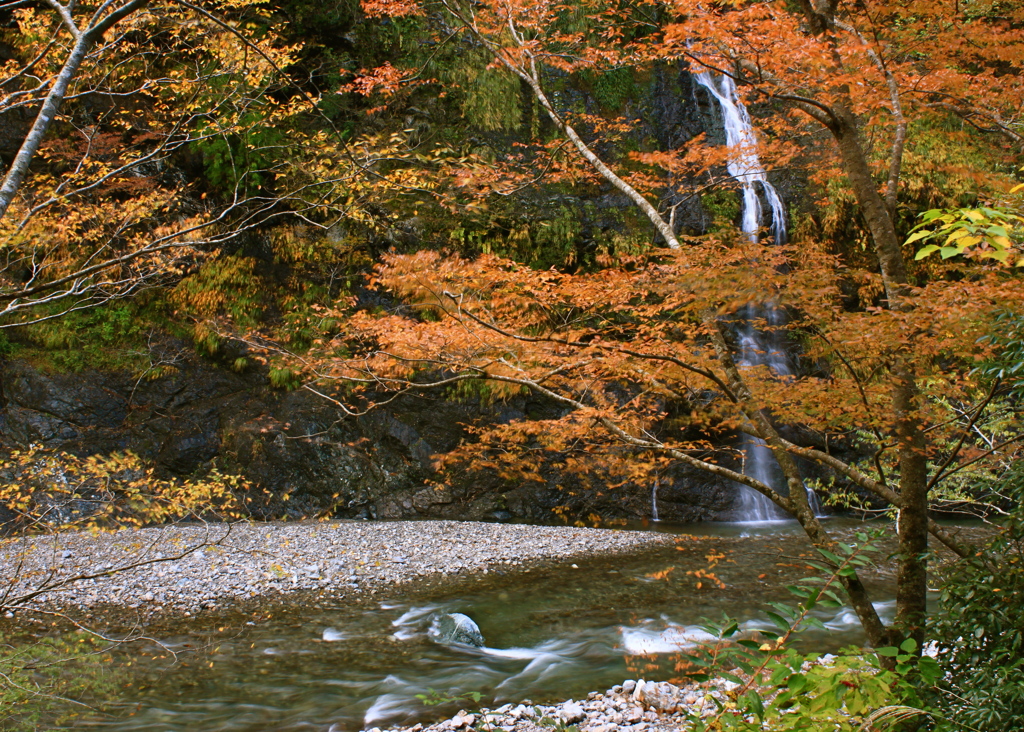 autumn color