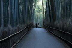 竹林の小径