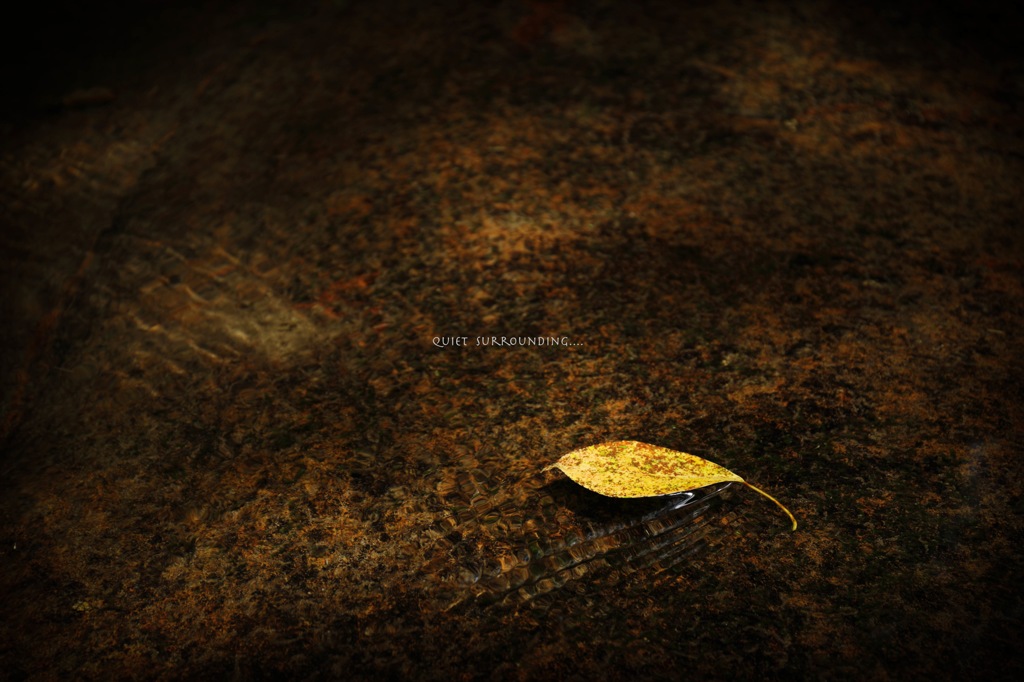 quiet surrounding...