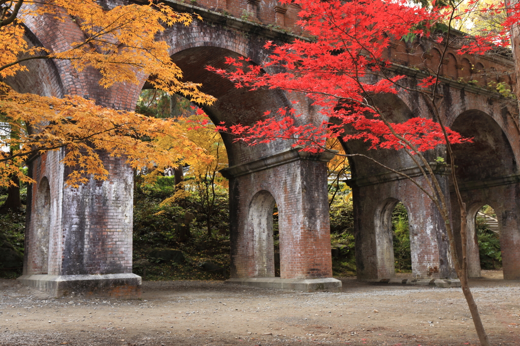 南禅寺　Ⅴ　紅葉
