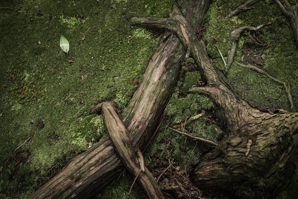 green