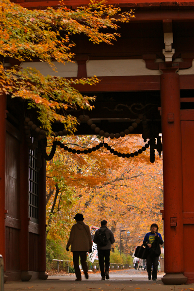 本土寺山門