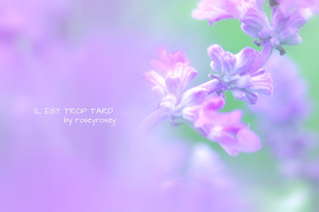 パープルのヴェール