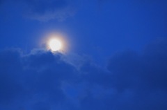 moon light