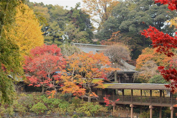 本土寺３