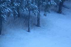 IMG_8721