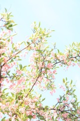 ５月のソラへ