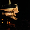 京都にて　花灯路