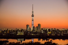 夕時は切な時
