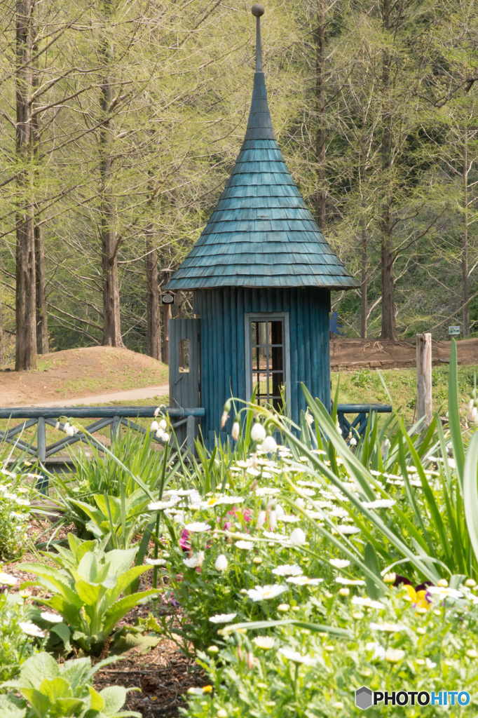 あけぼの森公園-9705