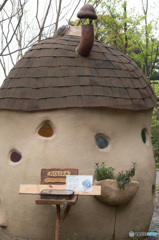 ぬくもりの森-1