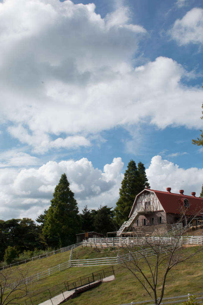 IMG_05452016-09-04　ジブリ展　六甲山牧場