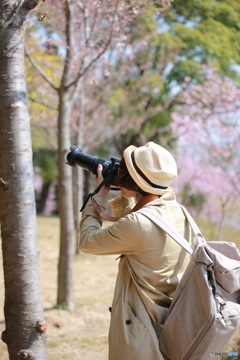 桜とカメラ