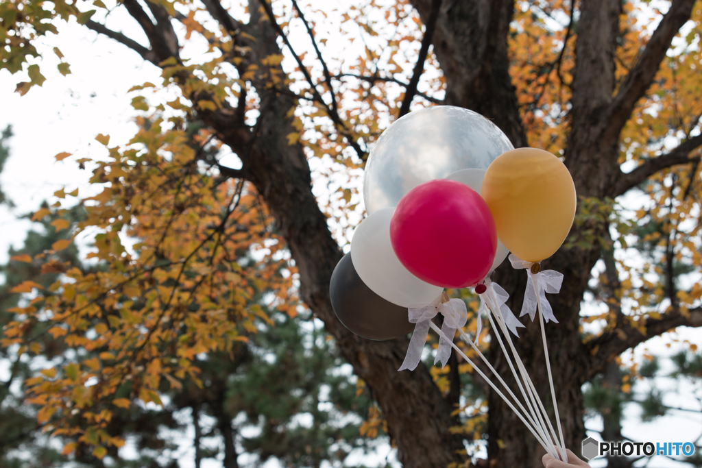 red leaves & balloon