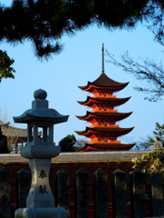 DPP_0006
