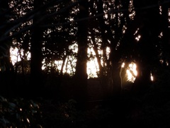DSCN3932