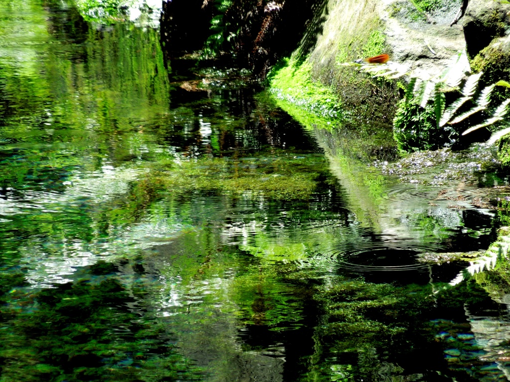 DSCN6218