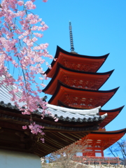 DPP_0003
