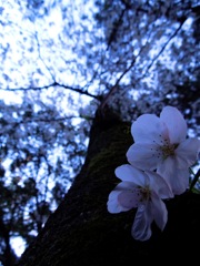 DSCN3815