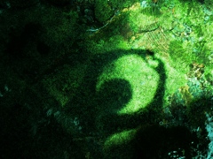 DSCN6290