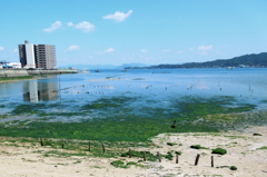 DPP_0015