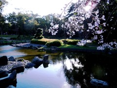 DSCN3585