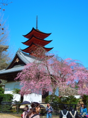 DPP_0002