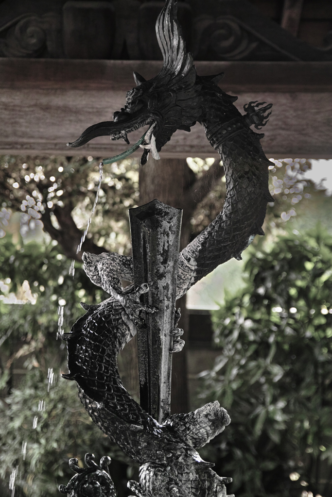 水龍