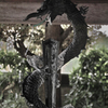 水龍