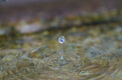 立ち上がれ水滴