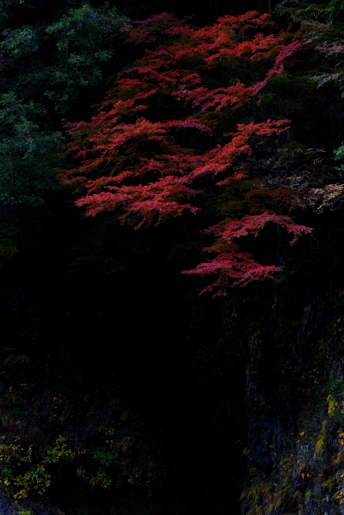 紅い静謐