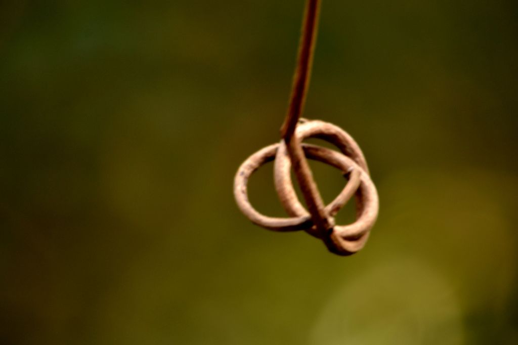 チョコレートにあったような・・・