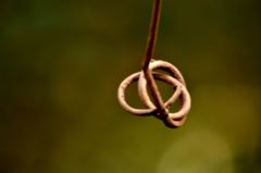 チョコレートにあったような・・・