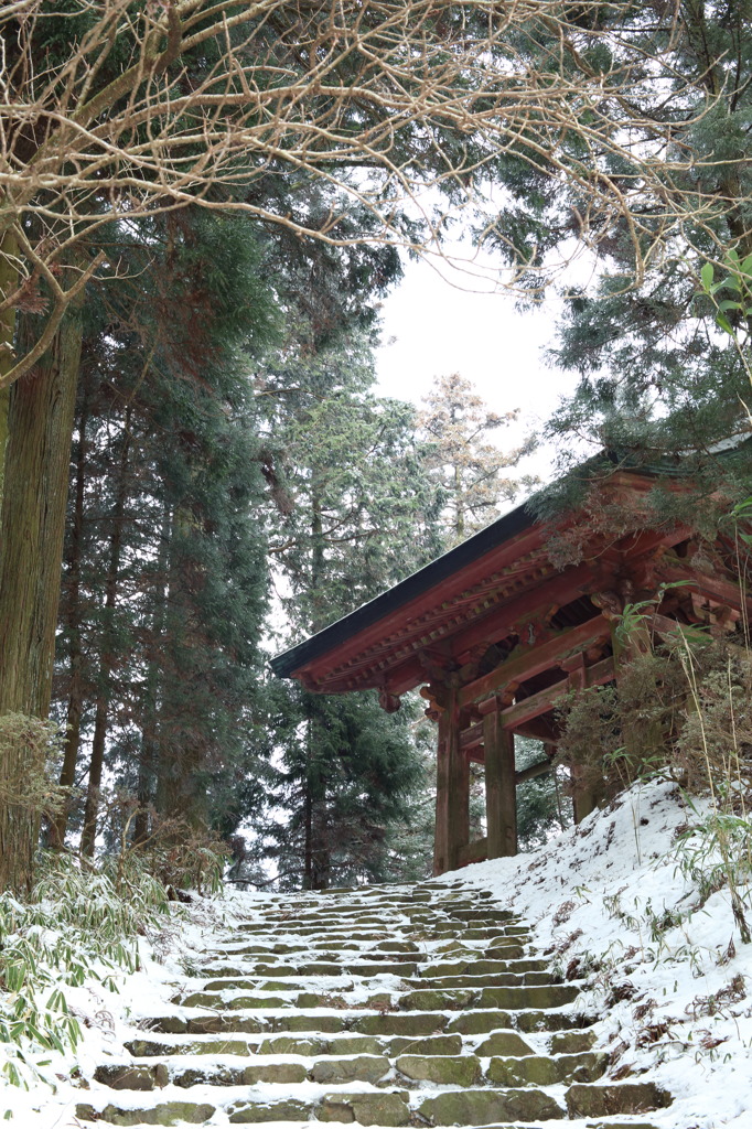 6R0C2969雪の山寺