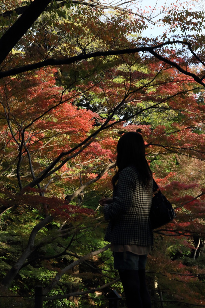 耳が・・・ある。