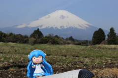 イカちゃんと富士山