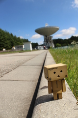 離れて見てもやっぱり大きい