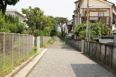 夏の路地