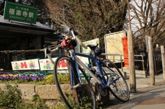 極楽寺駅