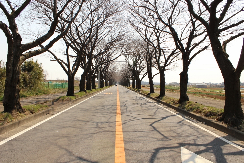 海軍道路～冬～