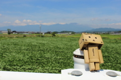 あちー