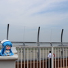 飛行機は写っていない
