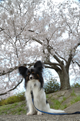うとうと。。