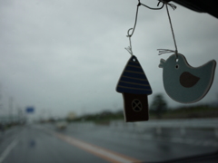 rainy