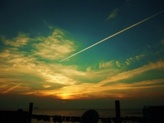 contrail