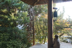 背中